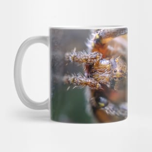 Macro Friendly Spider Photograph Mug